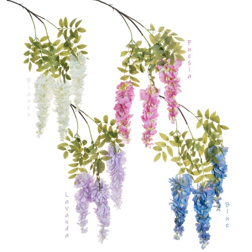Branch with wisteria clusters